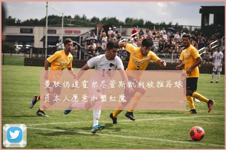 曼联仍追霍尔尽管斯凯利被推荐球员本人愿意加盟红魔
